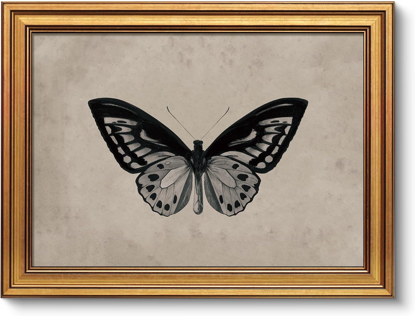 Vintage Gold Framed Wall Art, Sketch Birds Canvas Painting, Cute but Exquisite Wall Decor, No Glass No Glare, Suitable for Bedside Tables, Foyer, Bookshelves,【Hummingbird】-10L x 8W
