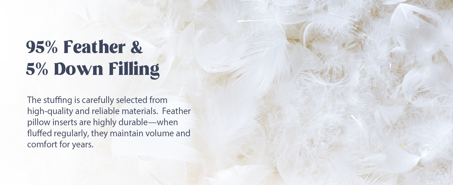 puredown® Feather Down Throw Pillow Inserts 22 x 22 (Pack of 2, White), Big Throw Pillows for Floor, Couch, Bed, Machine Washable