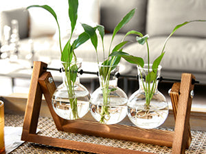 Plant Terrarium with Wooden Stand, Air Planter Bulb Glass Vase Metal Swivel Holder Retro Tabletop for Hydroponics Home Garden Office Decoration - 3 Bulb Vase
