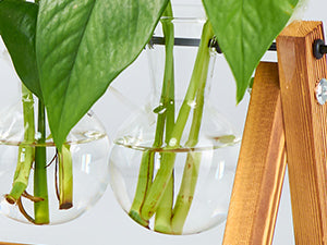 Plant Terrarium with Wooden Stand, Air Planter Bulb Glass Vase Metal Swivel Holder Retro Tabletop for Hydroponics Home Garden Office Decoration - 3 Bulb Vase
