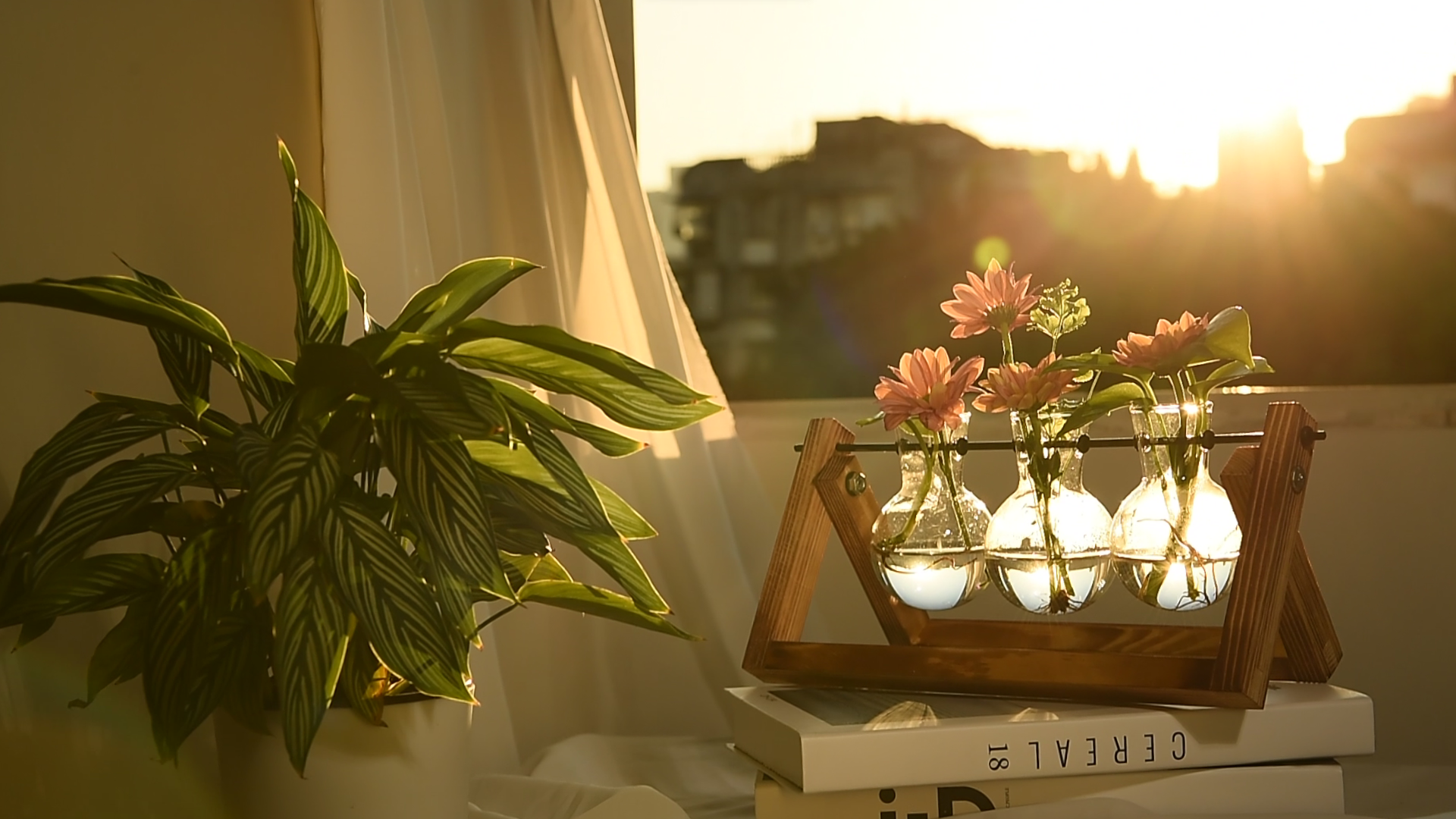Plant Terrarium with Wooden Stand, Air Planter Bulb Glass Vase Metal Swivel Holder Retro Tabletop for Hydroponics Home Garden Office Decoration - 3 Bulb Vase