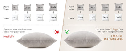 puredown® Feather Down Throw Pillow Inserts 22 x 22 (Pack of 2, White), Big Throw Pillows for Floor, Couch, Bed, Machine Washable